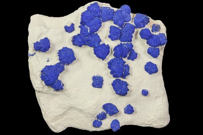 Brilliant Blue Azurite Sun Cluster On Rock - Australia #77618